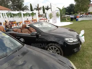 Open Roof. Convertible. Bridal Cars