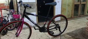 Bikes for Adults 90