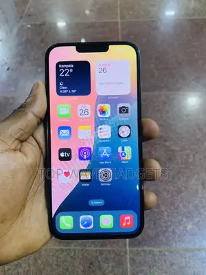 Apple iPhone 13 Pro Max 256 GB Black