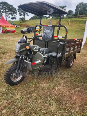 New Tricycle 2025 Green