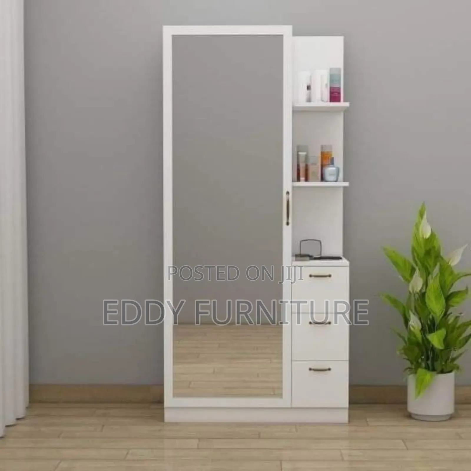 Dressing Mirror and Door