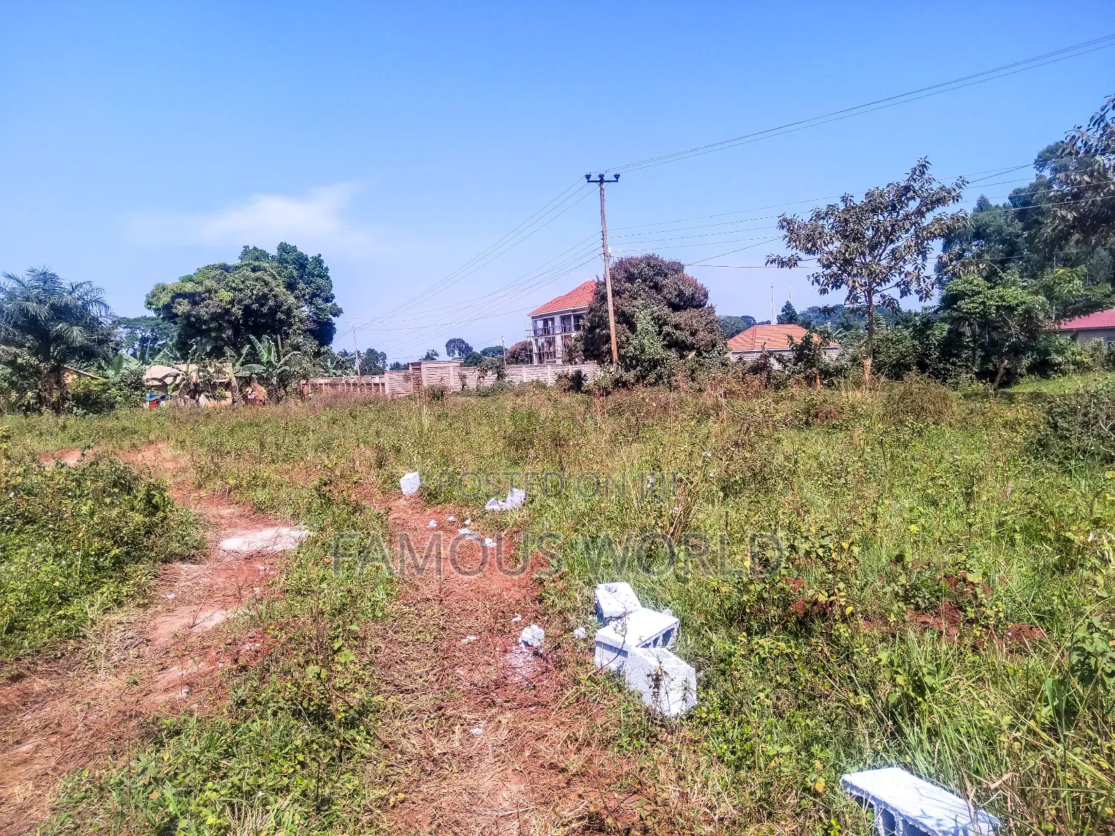 Nkumba Kigero Kasenyi Road Side 100 by 50 Mailo Titled Land on Sale