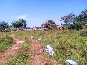 Nkumba Kigero Kasenyi Road Side 100 by 50 Mailo Titled Land on Sale