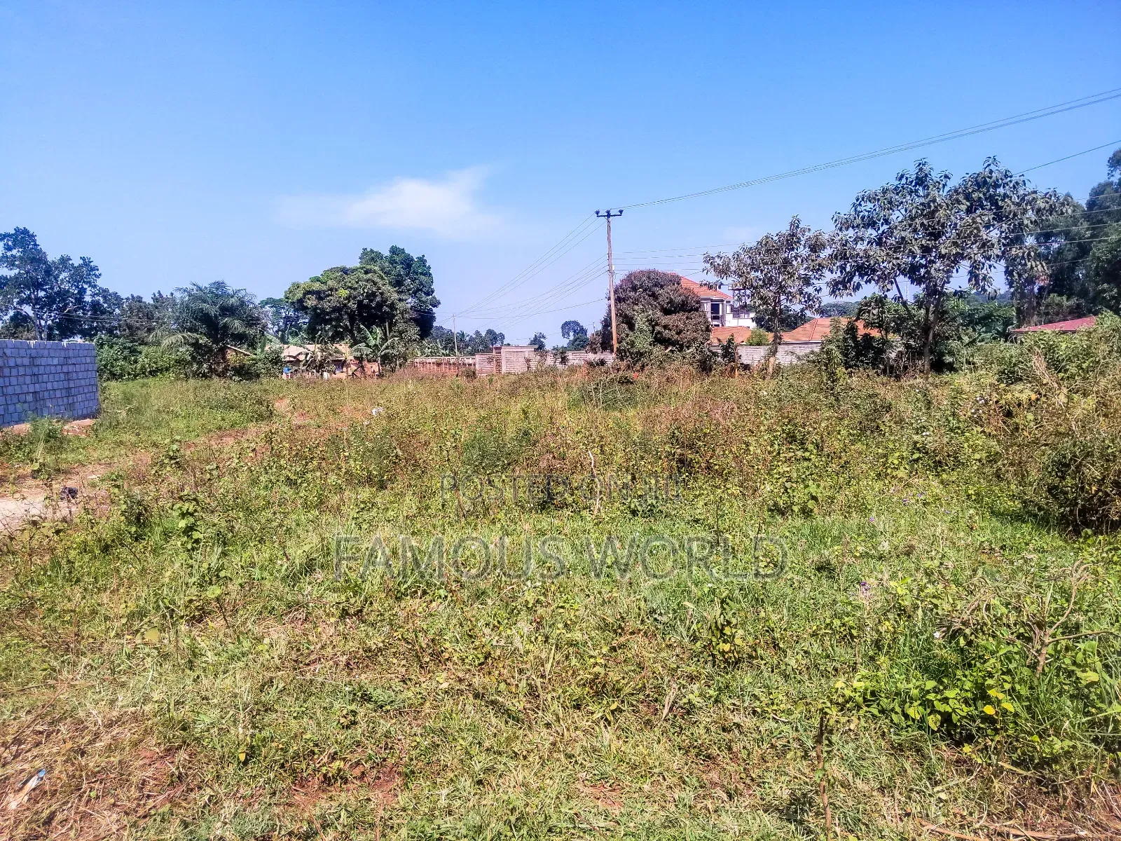 Nkumba Kigero Kasenyi Road Side 100 by 50 Mailo Titled Land on Sale