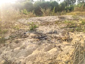 Lake Front Plots On Sale In Bussi Island Along Entebbe Cit