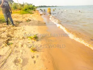 Lake Front Plots On Sale In Bussi Island Along Entebbe Cit