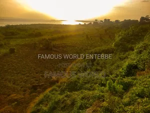 Lake Front Plots On Sale In Bussi Island Along Entebbe Cit