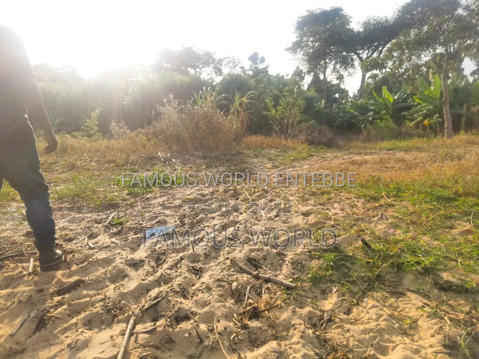 Lake Front Plots On Sale In Bussi Island Along Entebbe Cit