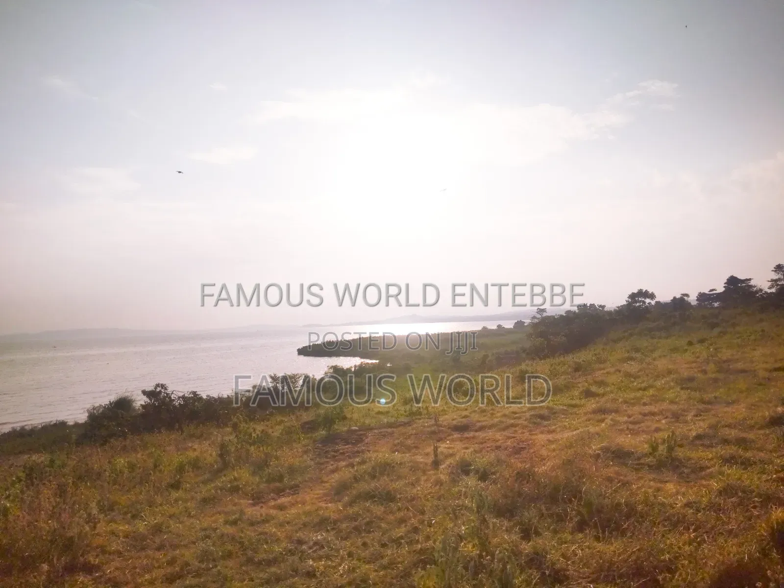 Lake Front Plots On Sale In Bussi Island Along Entebbe Cit