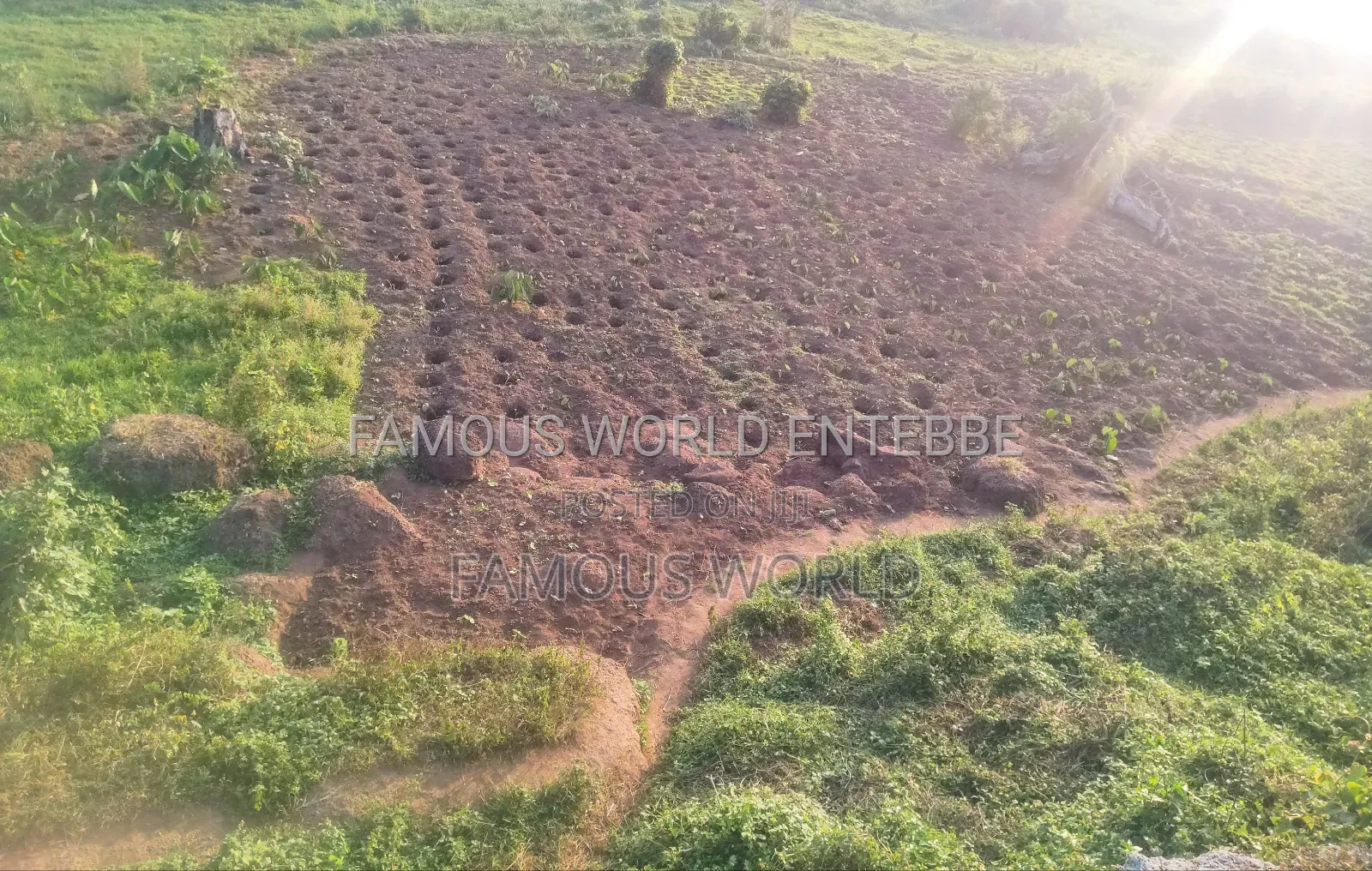 Lake Front Plots On Sale In Bussi Island Along Entebbe Cit