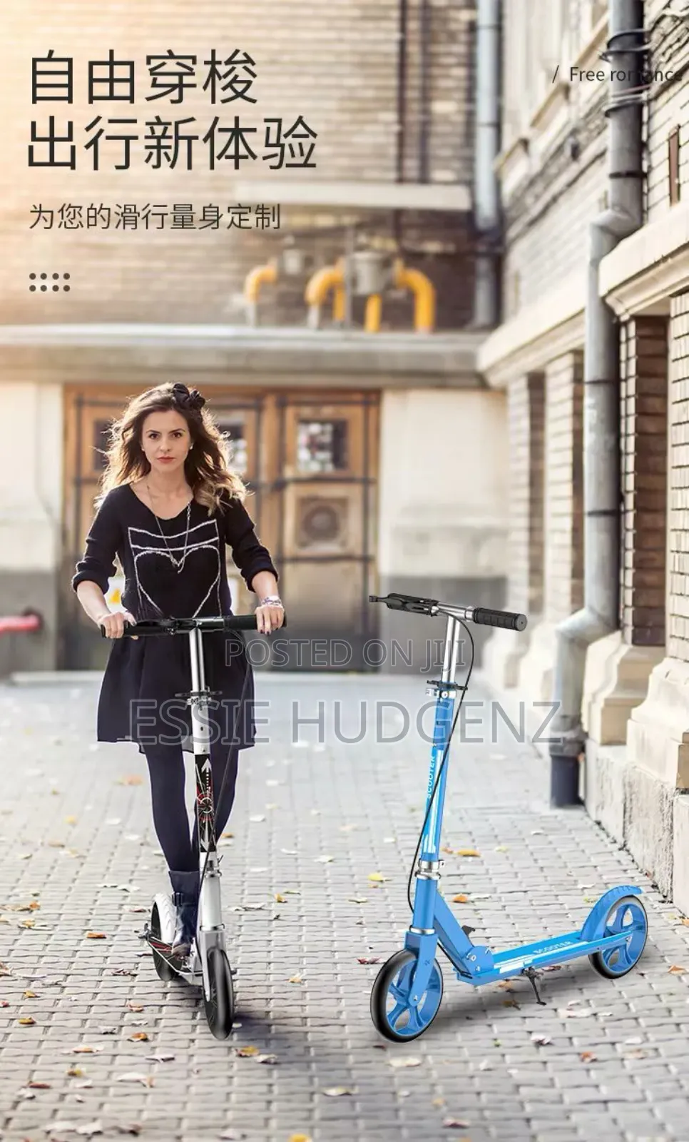 2 Wheels Foldable Scooter(Brand New)