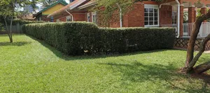 4bdrm Bungalow in Fs Properties Ltd, Nakawa for rent