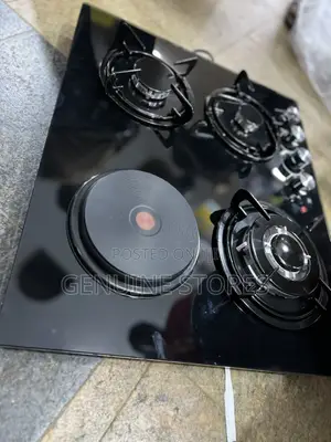 Globalstar Glass Gas Plates With One Electric Plate.