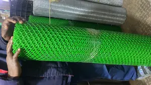 Plastic Green Net