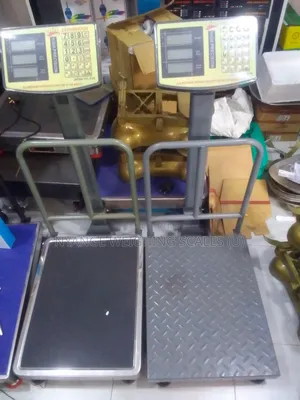 Store Keeping Weighing Scale 350kg Weigh Digital Weighing Scale