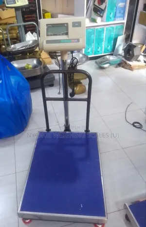 Price Cost Weigh Platform Weighing Scale 300kg Digital Weighing Scale