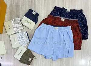 Bersel and Zara Underwear