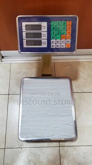 Stainless Electronic Weigh 60kg Weighing Scale Digital Weighing Scale
