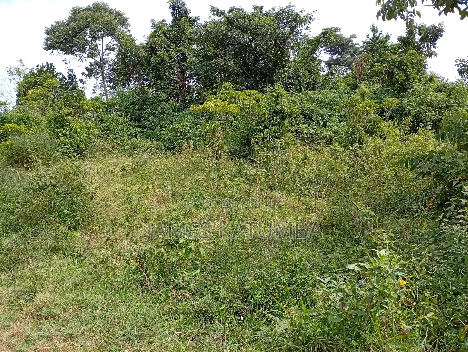 Land for Leasing