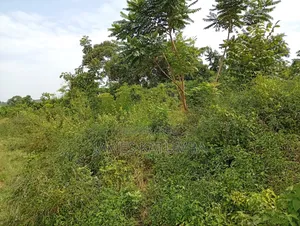 Land for Leasing