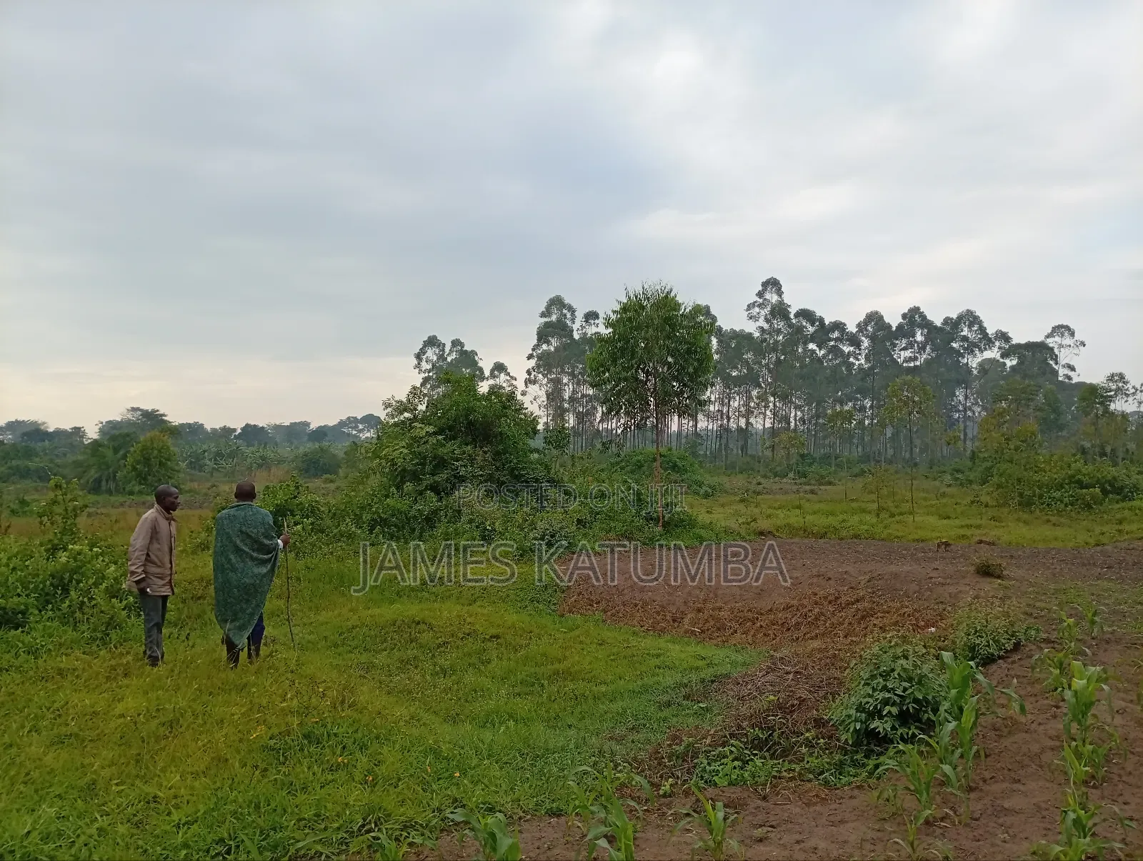 Land for Leasing