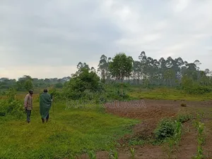 Land for Leasing