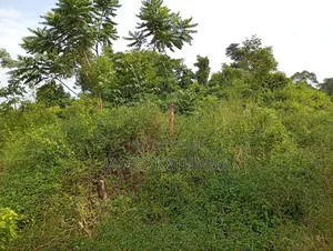 Land for Leasing