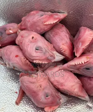 Dog Food (Heads)