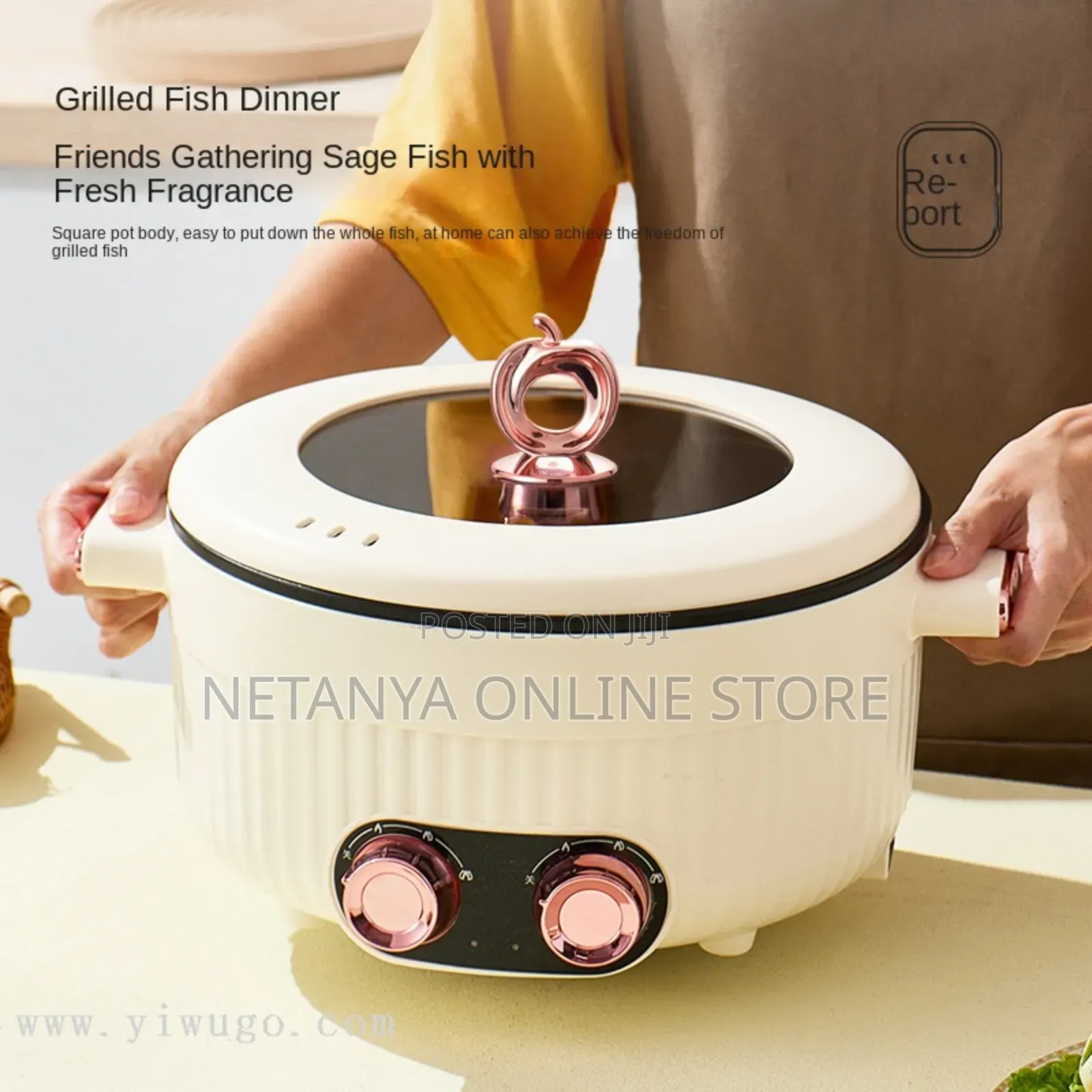 Double Electric Cooking Pot