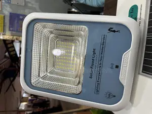 Flood Light 100watts