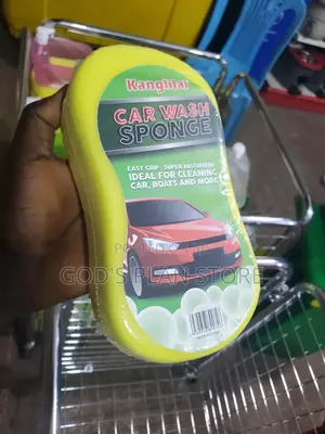 Car Wash Sponge