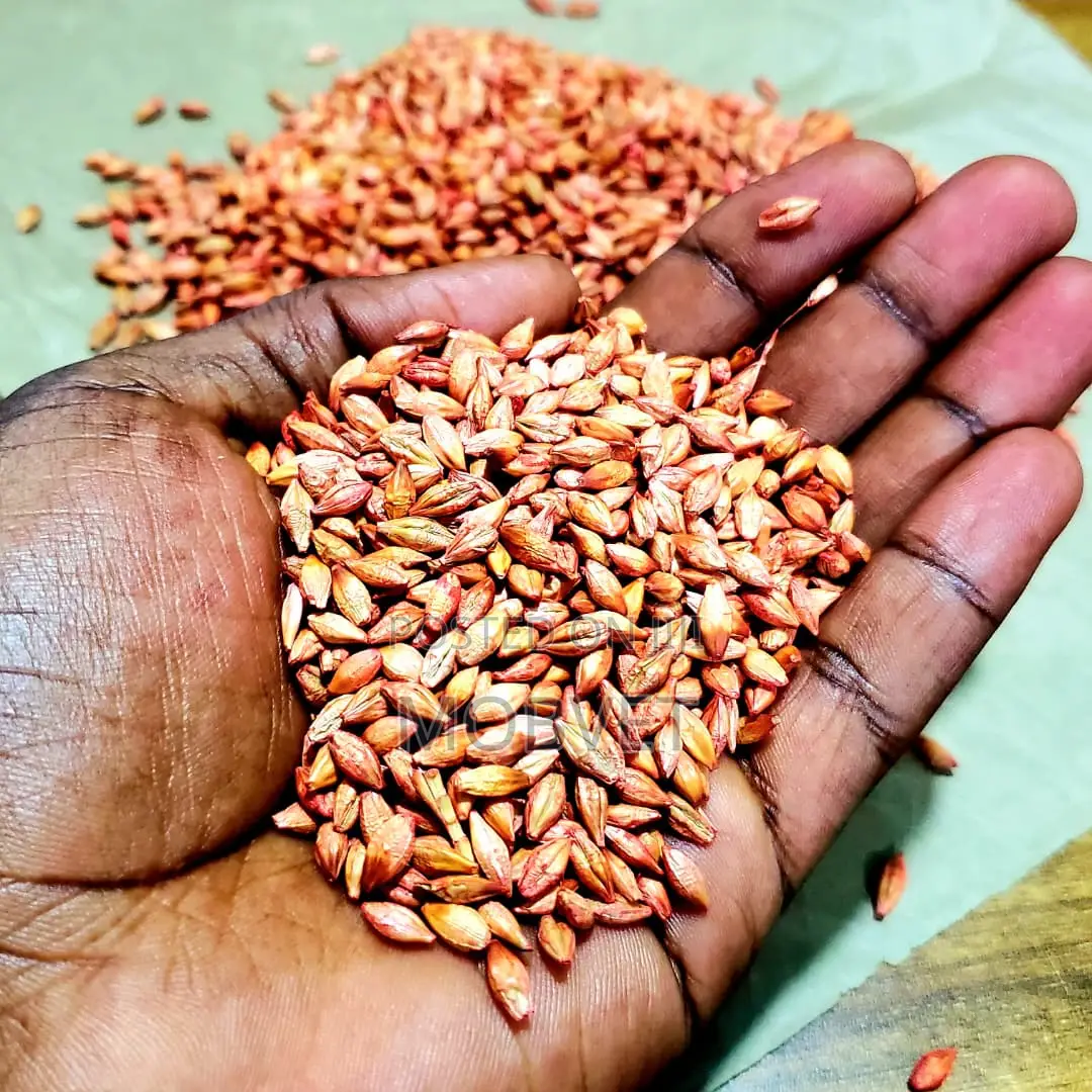 Barley Planting Seed 001