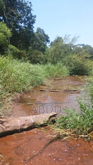 Land On Island For Sale