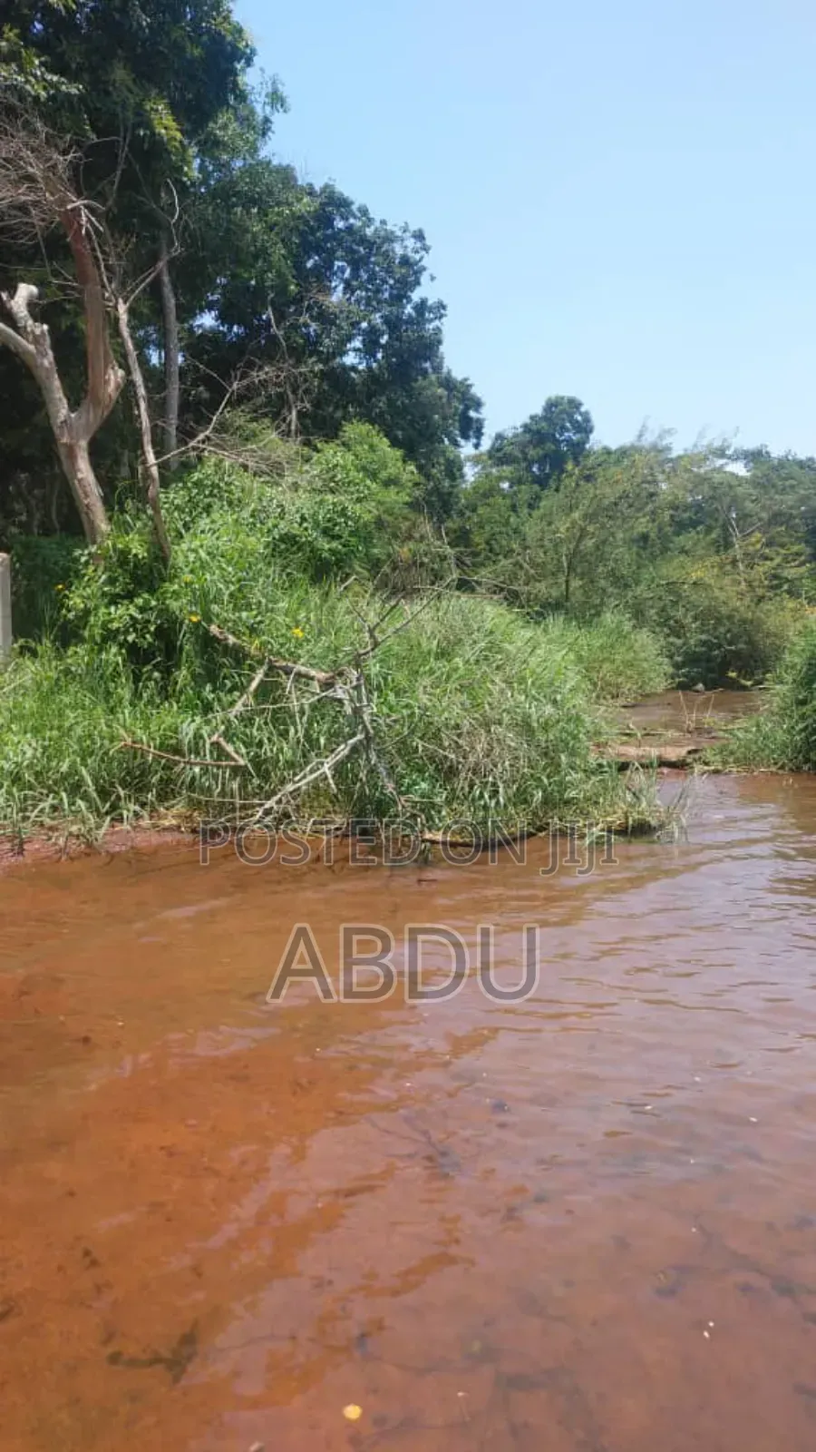 Land On Island For Sale
