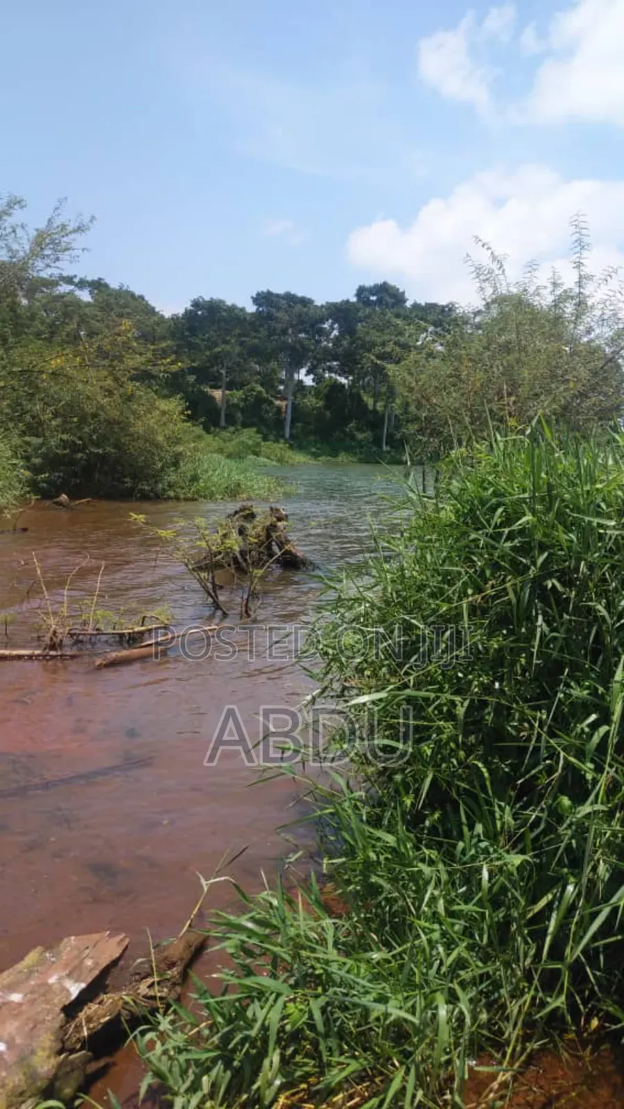 Land On Island For Sale