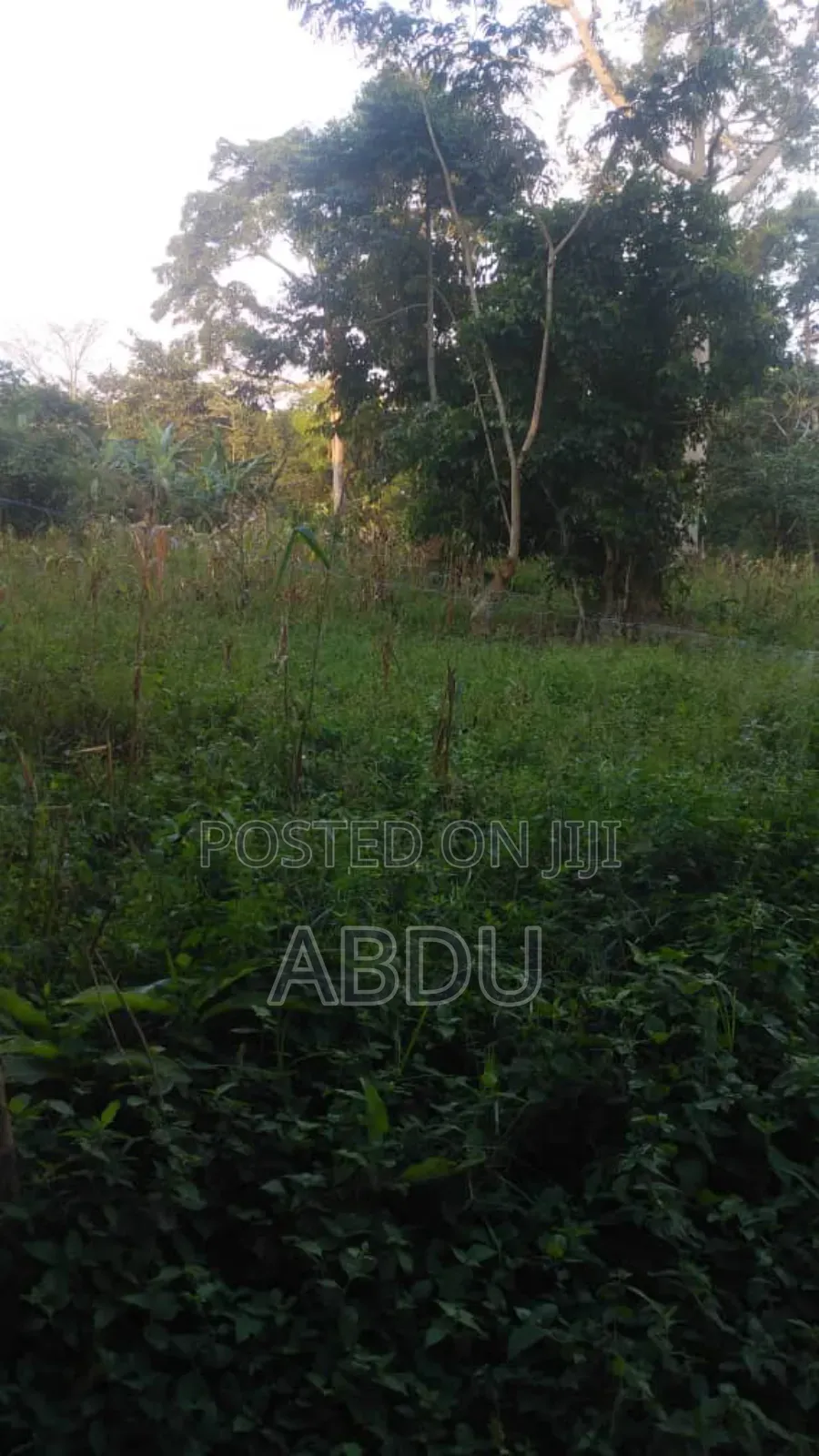 Land for Sale