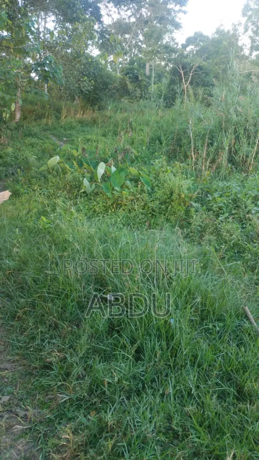 Land for Sale