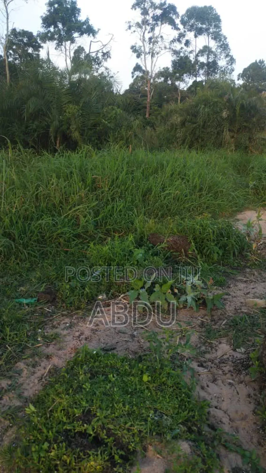 Land for Sale