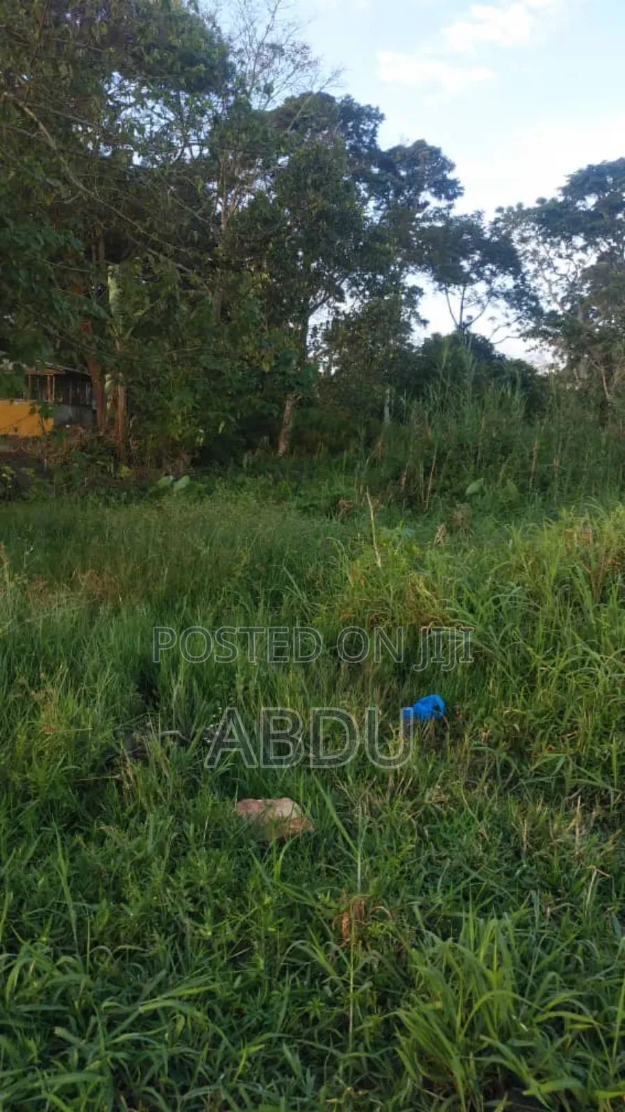 Land for Sale