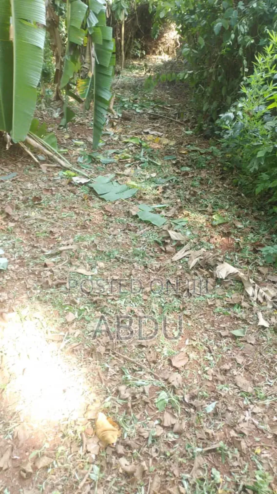 Land for Sale