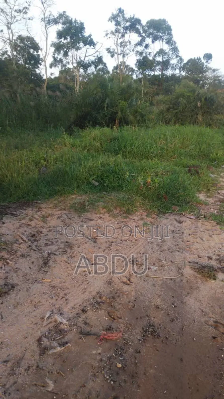 Land for Sale