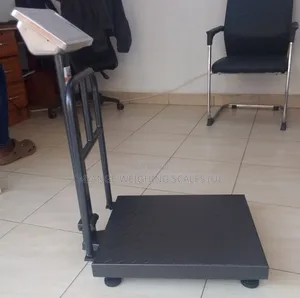 Platform Weighing Scale 350kg Weigh Industrial Weighing Scale
