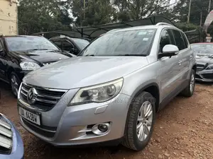 Volkswagen Tiguan 2010 Silver