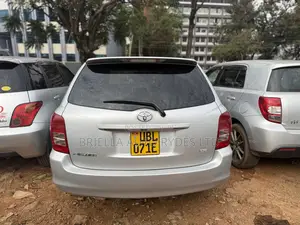 Toyota Corolla Fielder 2009 Silver