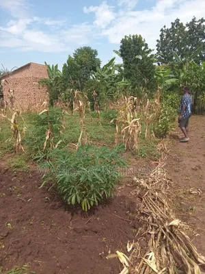 Kasawo Plot 4 Sale 70ft75