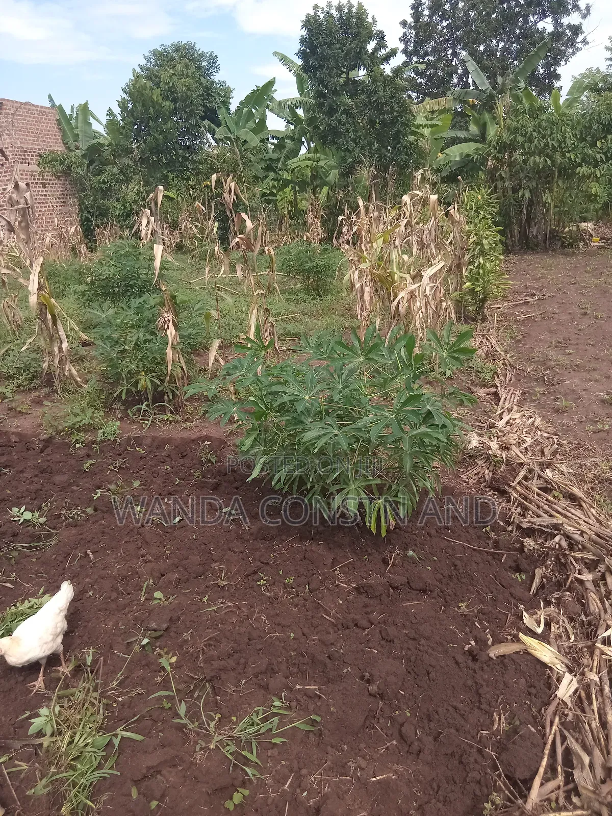 Kasawo Plot 4 Sale 70ft75