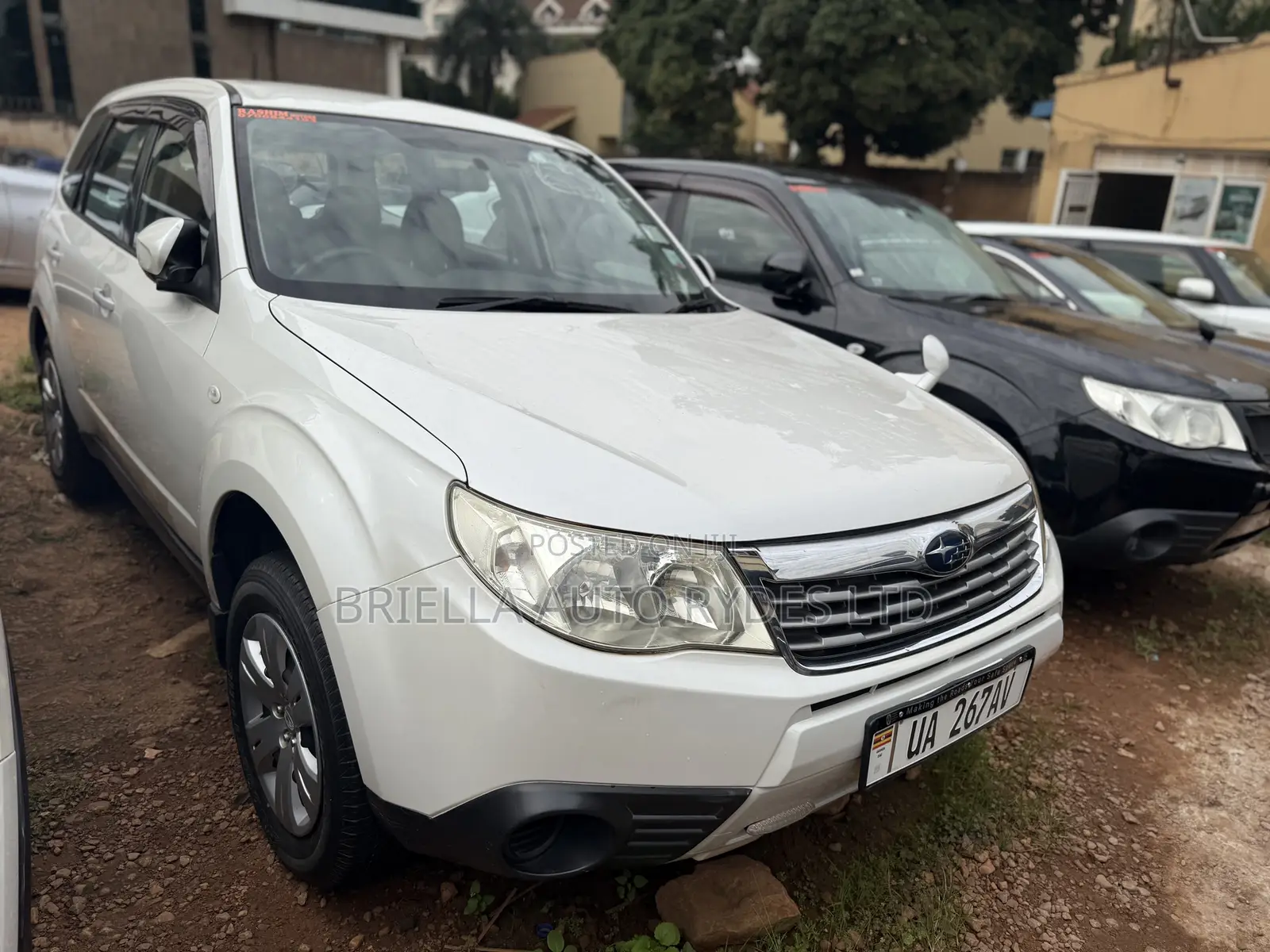Subaru Forester 2010 White