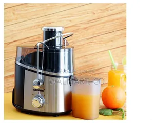 Geepas 600w Juice Extractor Gje6106