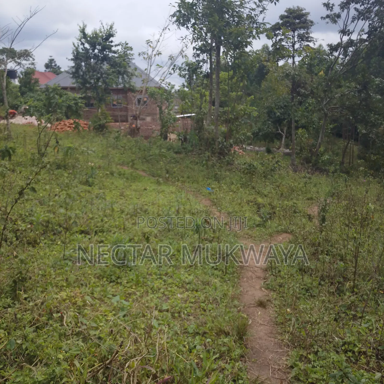 Land in Mukono 50 by 50