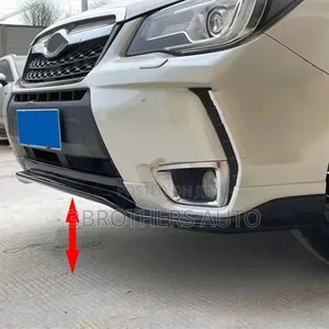 Bumper Lips(Universal)
